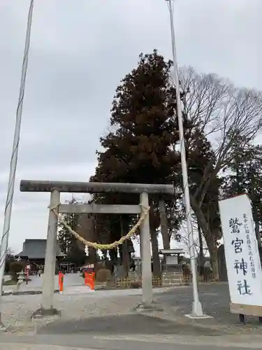 鷲宮神社の鳥居