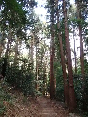 常陸二ノ宮　静神社の自然