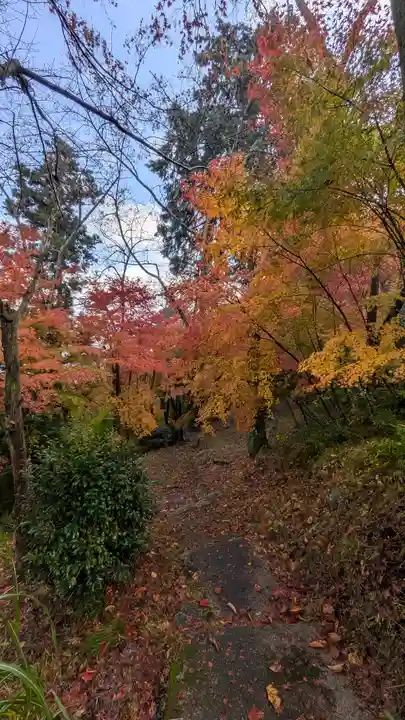 若山神社(大阪府)