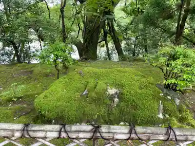 龍安寺(京都府)