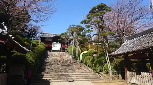 護国寺(東京都)