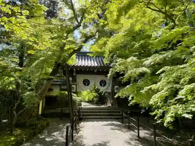 光明寺（粟生光明寺）(京都府)