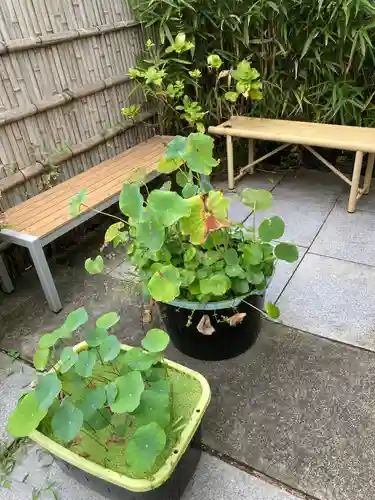 光照寺(神奈川県)