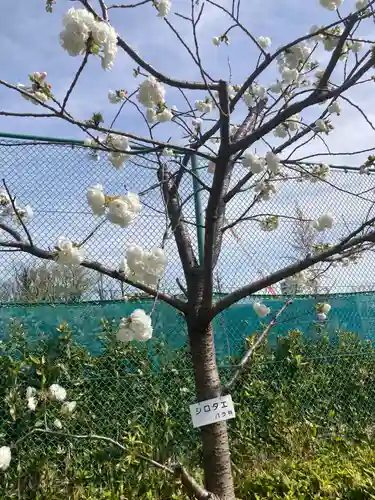 成田山深川不動堂（新勝寺東京別院）(東京都)