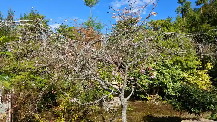 実光院(京都府)