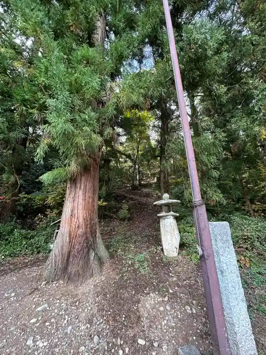 秋葉社(長野県)