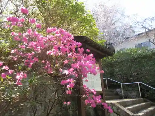 安國論寺（安国論寺）の景色