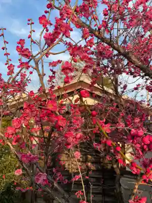 一条山宝蓮寺(愛知県)
