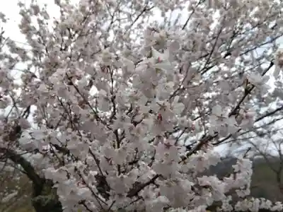 味真野神社(福井県)