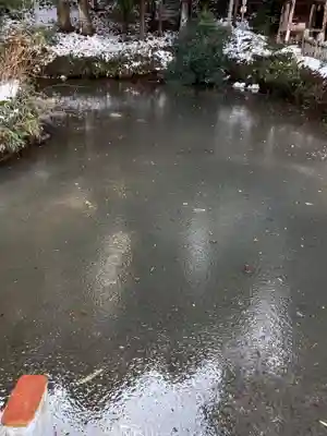 三島神社の自然