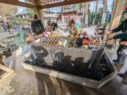 亀ケ池八幡宮(神奈川県)