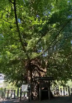素盞雄神社(奈良県)