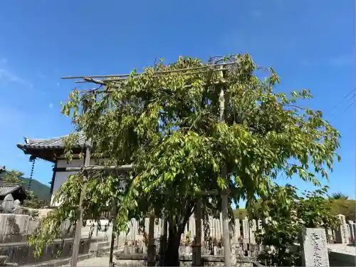 極楽寺(奈良県)