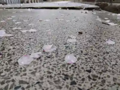 神明神社(福井県)