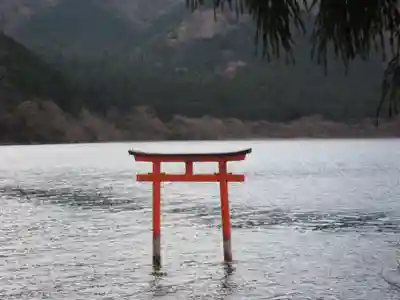 九頭龍神社本宮の鳥居
