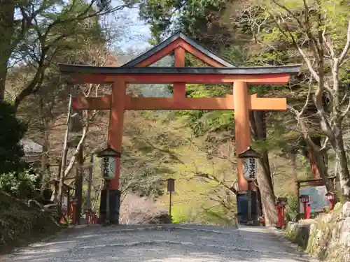 日吉大社の鳥居