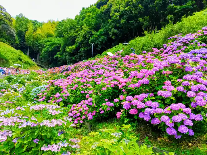 補陀寺の周辺