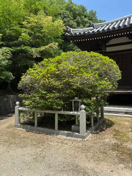 常楽寺(兵庫県)