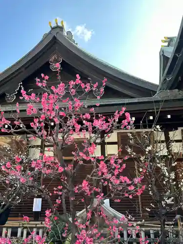 大阪天満宮(大阪府)