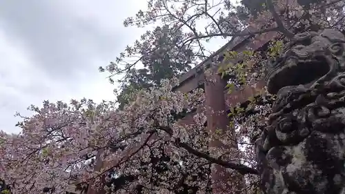 宮城縣護國神社の自然