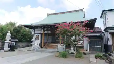 法善寺の本殿・本堂