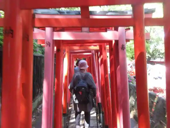 乙女稲荷神社の鳥居
