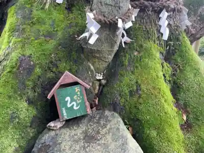 玉祖神社のその他建物