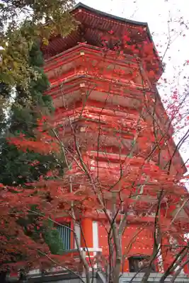 金乗院放光寺の塔