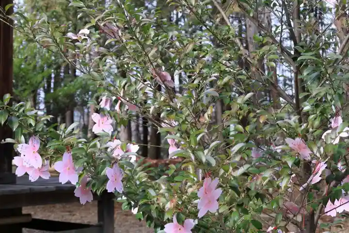 滑川神社 - 仕事と子どもの守り神のおみくじ