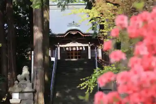 豊景神社の景色