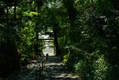 龍尾神社(静岡県)