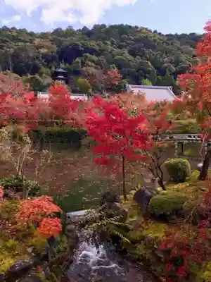 禅林寺(永観堂)(京都府)