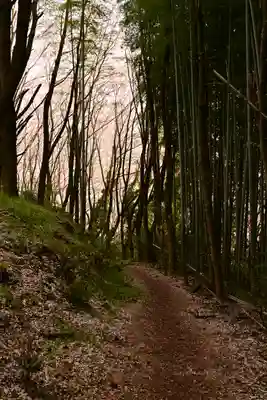 熊野神社(愛媛県)
