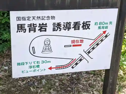 薬師如来像(愛知県)