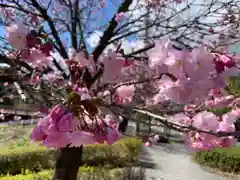 滑川神社 - 仕事と子どもの守り神の自然