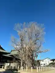 葛飾八幡宮(千葉県)