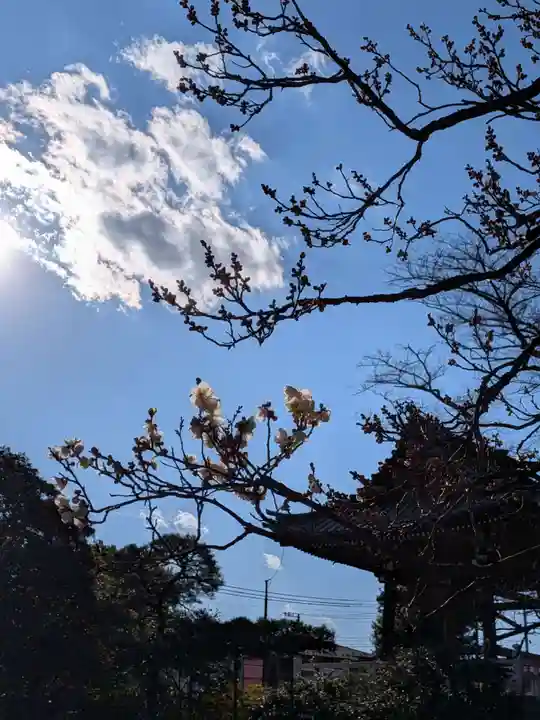 福蔵院(東京都)