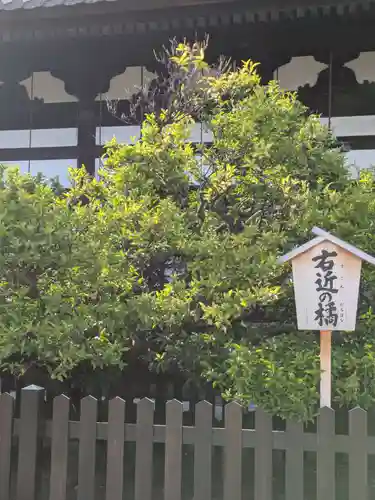 誉田八幡宮(大阪府)