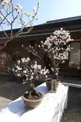 菅原天満宮（菅原神社）(奈良県)