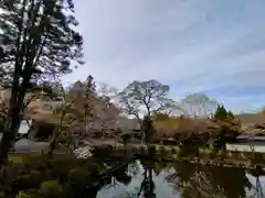 伊太祁曽神社の庭園