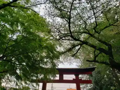 大宮八幡宮の鳥居