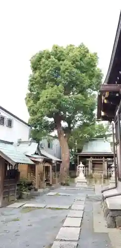 隅田稲荷神社のその他建物