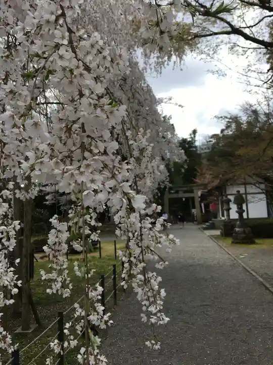 足羽神社の庭園