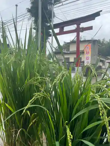 大鏑神社の鳥居