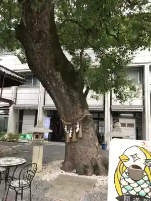 円満院門跡(滋賀県)