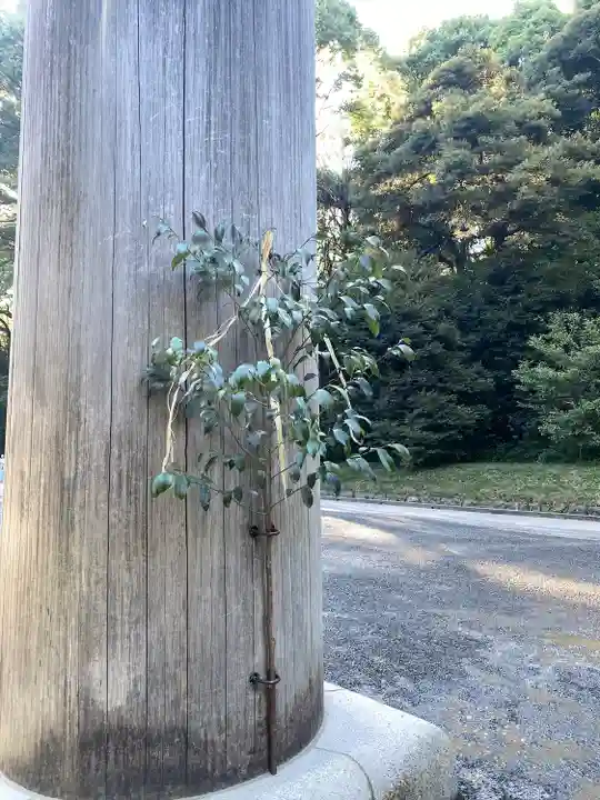 明治神宮(東京都)