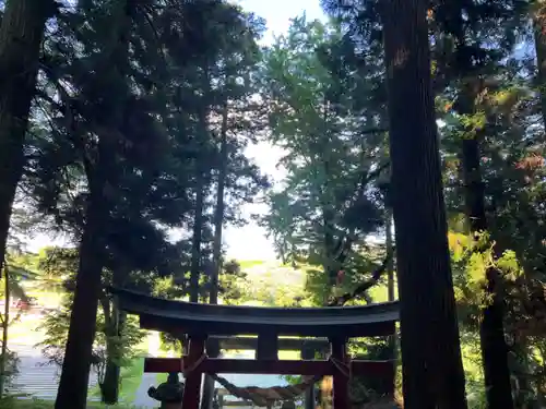 大宮温泉神社の鳥居