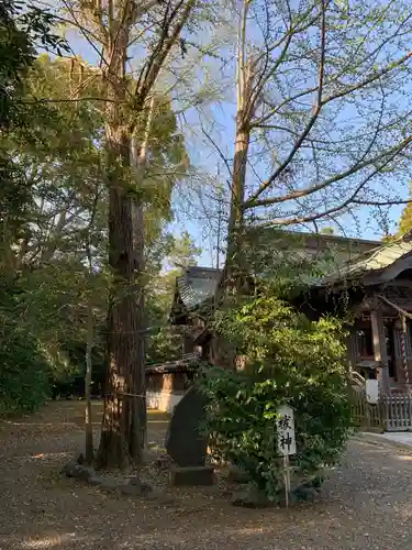 島穴神社の自然