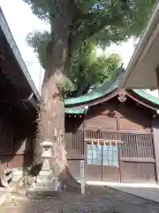 金山神社の自然