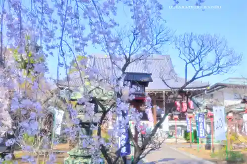 寛永寺開山堂(東京都)